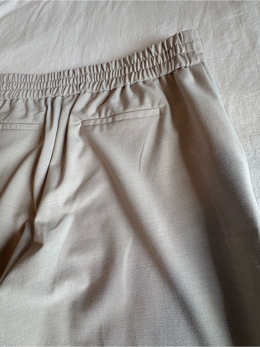 Rachel Zoe Beige Elastic-Waist Dress Pants - Picture 7 of 10